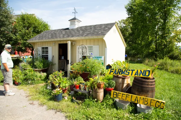 A farmstand in summer with fresh produce out front. 