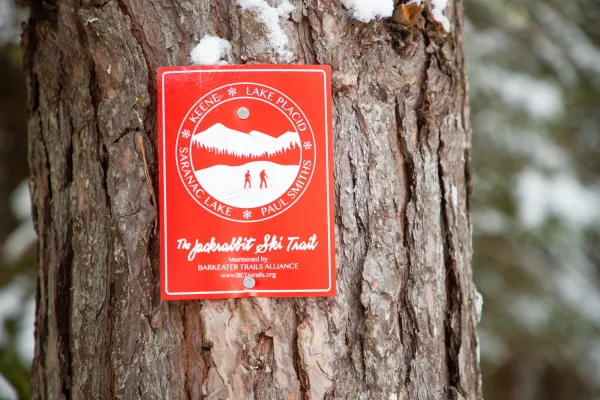 A rectangular trail marker for the Jackrabbit Trail.
