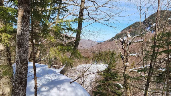 View of frozen clearing and nearby hills from elevated view point through trees in winter