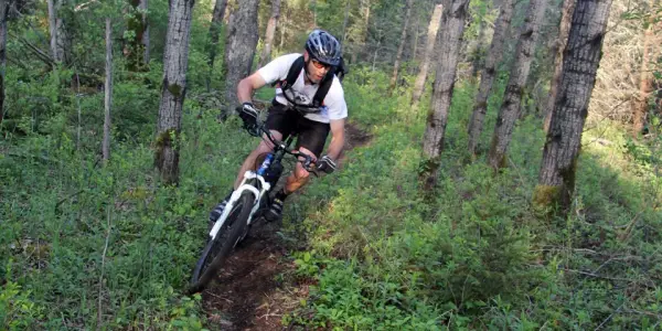 Mountain biker takes a turn on a single track trail