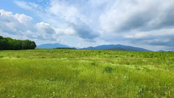 Vast green field with a line of trees and mountains in the background under a partly cloudy sky.