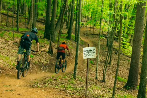 Two mountain bikers enter a trail system