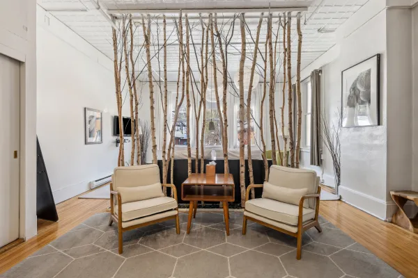 A beautiful white birch divider is the focal point of this lounge space at The Haus.