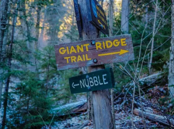 Look for the Giant Ridge Trail at the intersection.