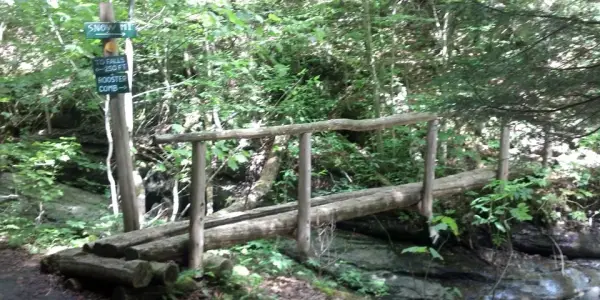 Clear trail markers and bridges over some tricky bits.