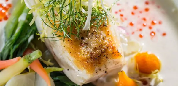 Perfectly cooked halibut garnished with fresh dill