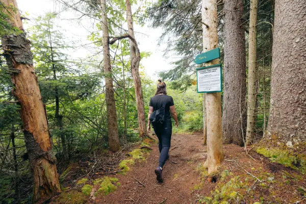 A hiker walks along a forested trail