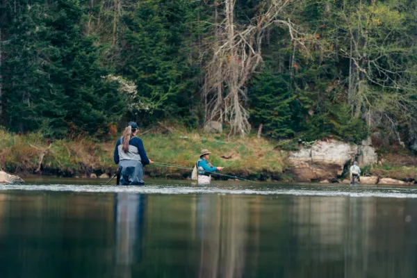 Three fly fishers wade in a calm, forested river, casting their lines across the water's surface as evergreen trees.