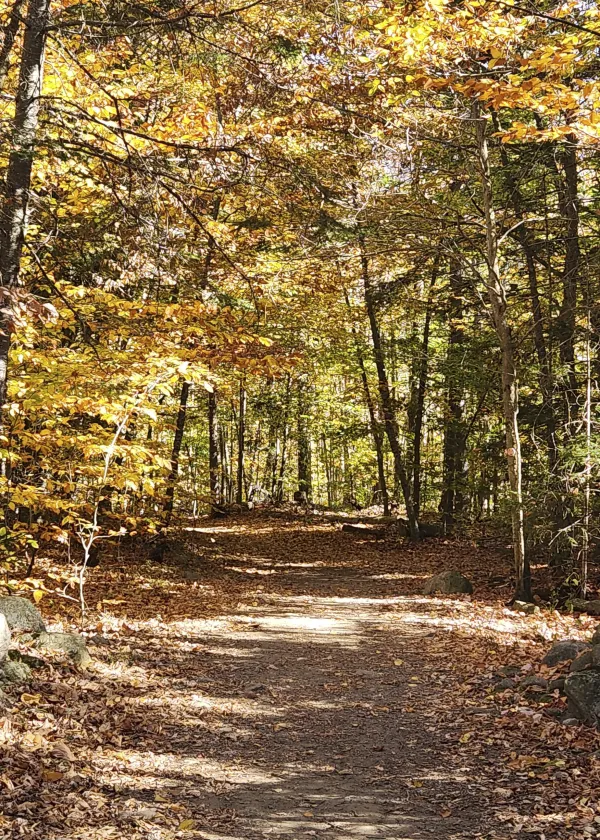 John Brown Farm Hike in the woods in the fall