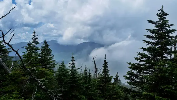 A view through trees of mountains in the clouds