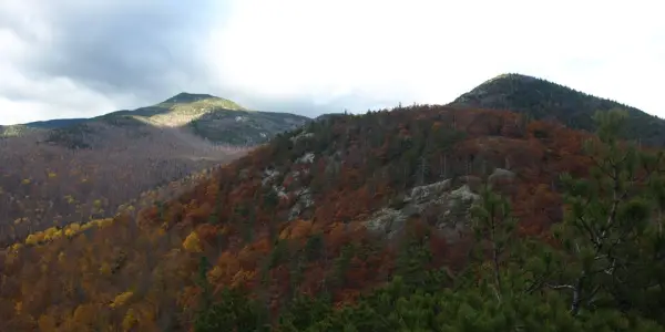 Enjoy the rich play of color even in the late fall.