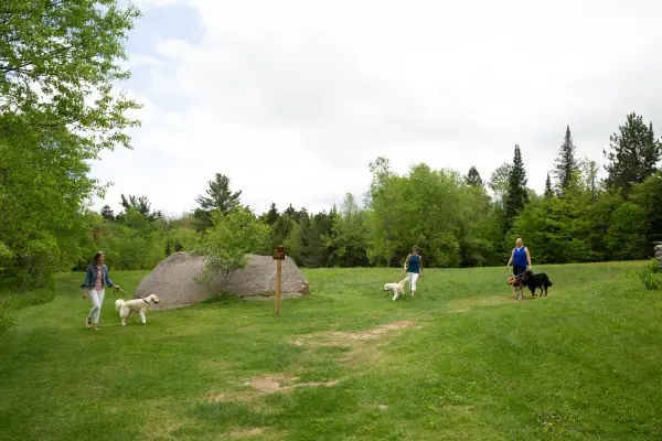 Many trails to explore at John Brown's Farm.