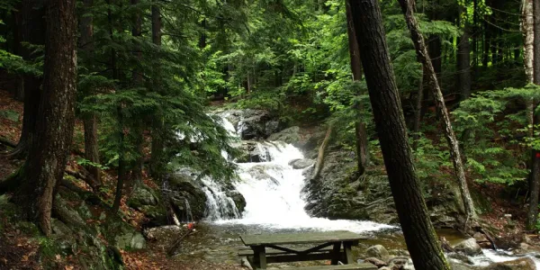 A pool at the bottom of a waterfall
