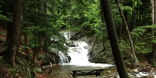 A pool at the bottom of a waterfall