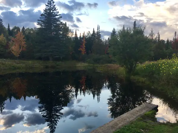 A lovely pond offers a scenic backdrop at John Brown Farm.