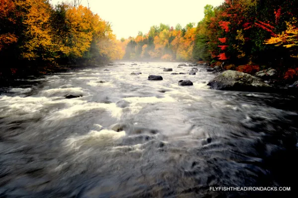 The river surrounded with fall foliage.