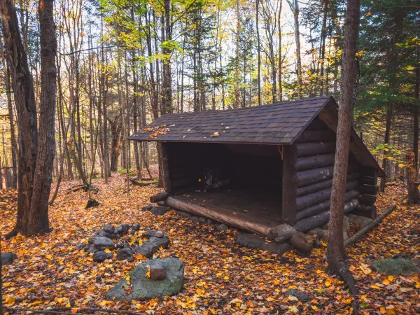 A lean-to in the fall