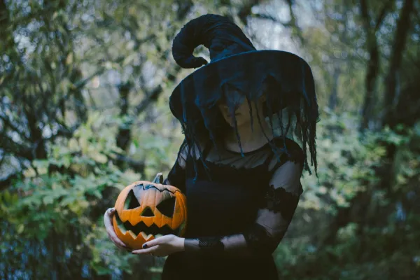 Stock image of person in witches costume and hat with a black veil over their face standing holding a jack-o-lantern in a green forest.