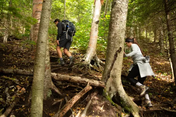 A lot of rugged trail to this destination deep in the forest.