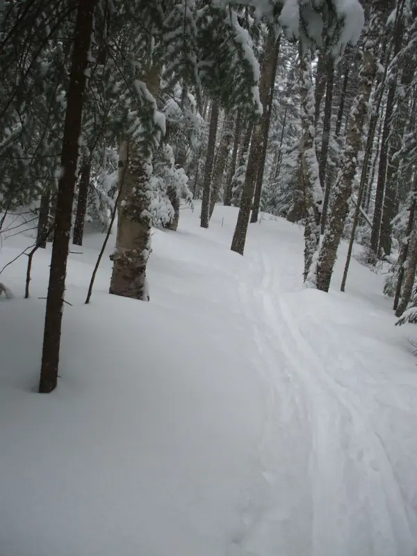 Great for winter cross-country skiing and snowshoeing.