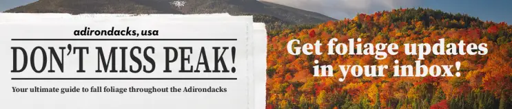 Get the foliage report!