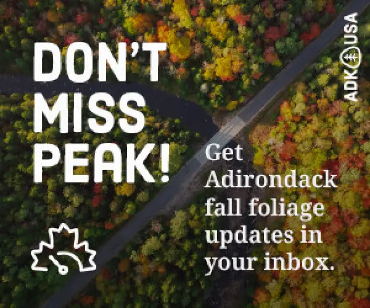 A banner reading "Don't Miss Peak! Get Adirondack fall foliage updates in your inbox." 
