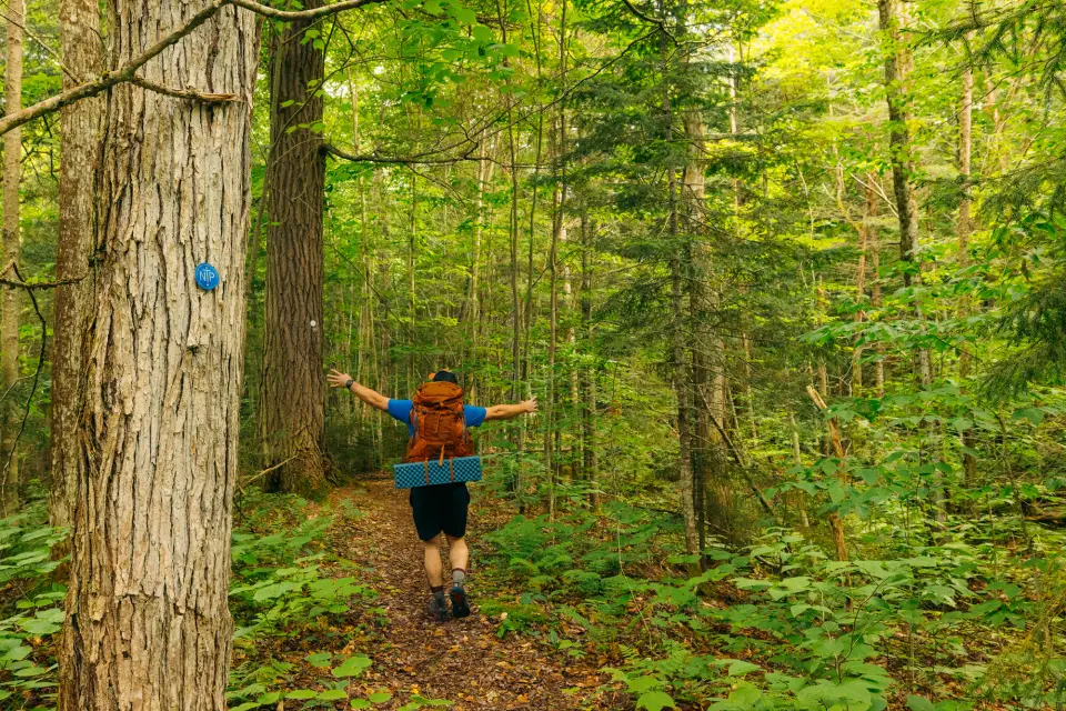 A hiker backpacking on a forested trail in the summer.