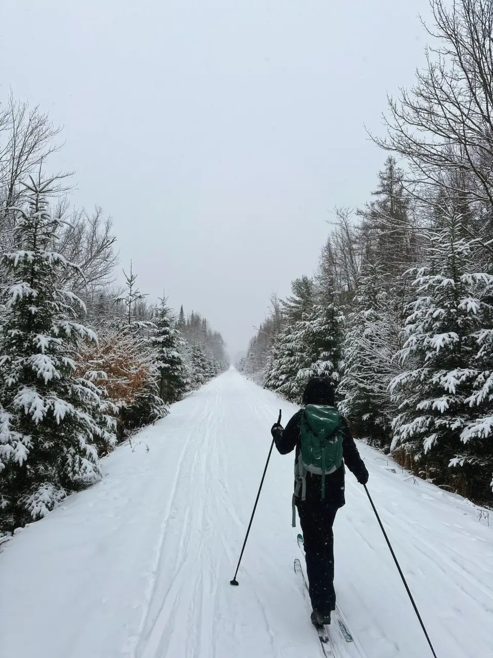 A person cross-country skiing on the Adirondack Rail Trail.