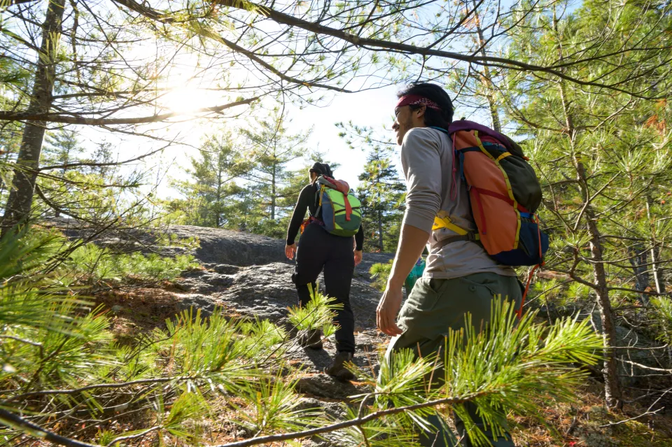 a man and woman hike up a forested mountain. 