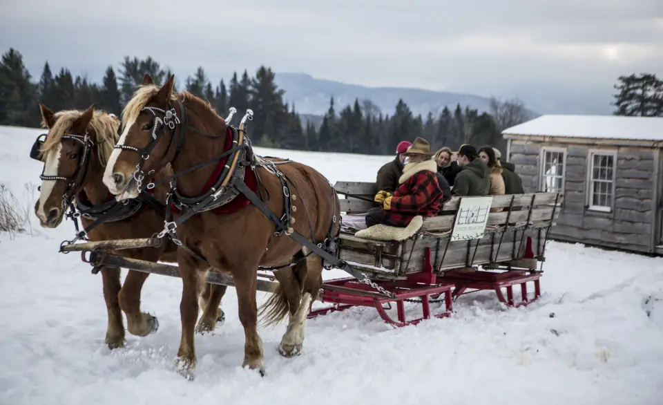 A wintertime sleigh ride