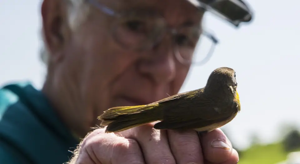A man holding a bird in his hand.