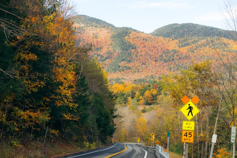A winding road with fall scenery in the background.