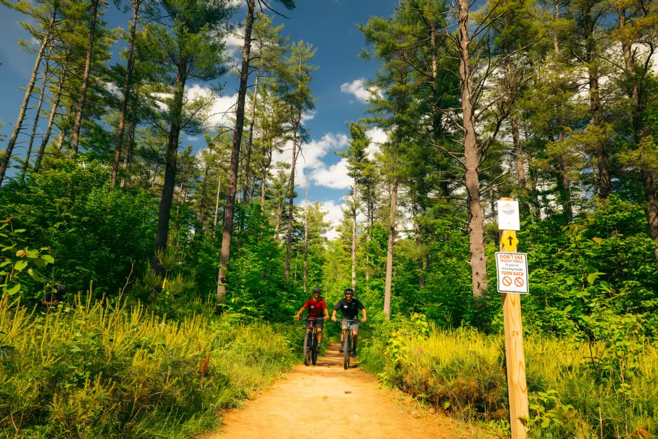 two mountain bikers on a trail
