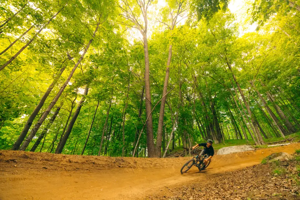 a mountain biker turns a wide corner in a forest