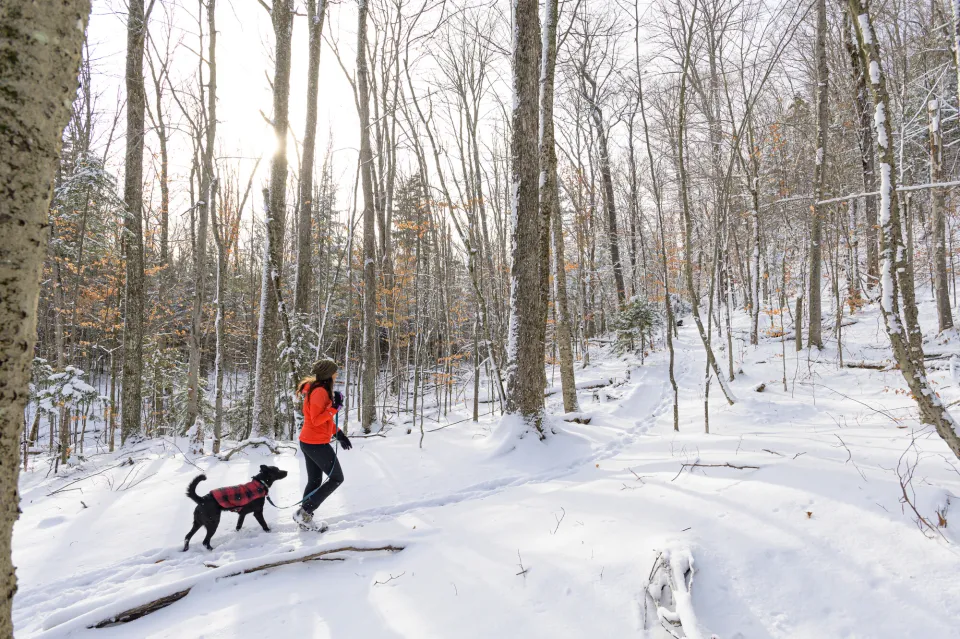 A woman hiking up a snowy trail with her dog.