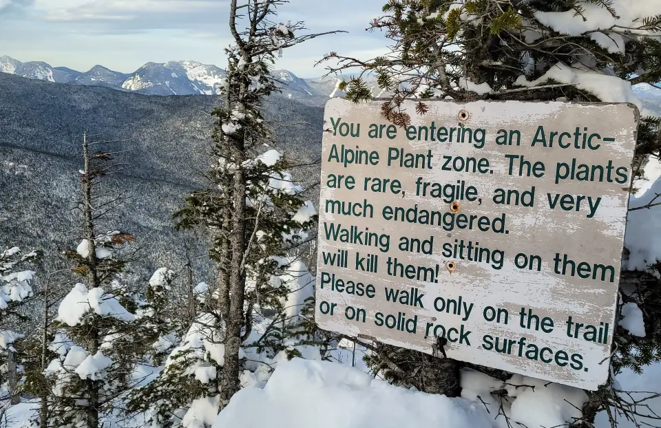 A sign for the alpine zone.