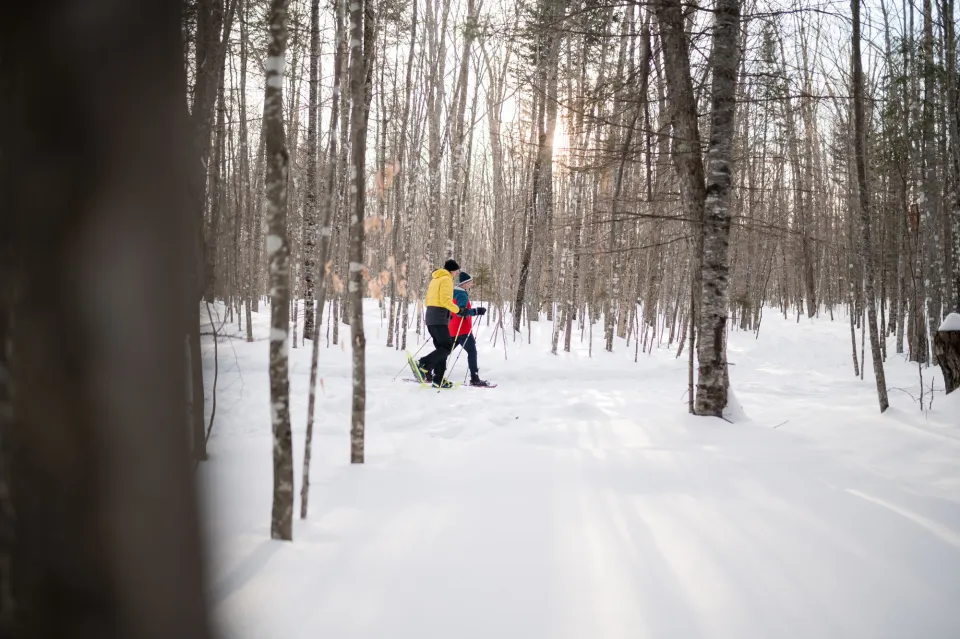 Two people, one in yellow coat and the other in a red and blue coat, snowshoe through a snowy woods