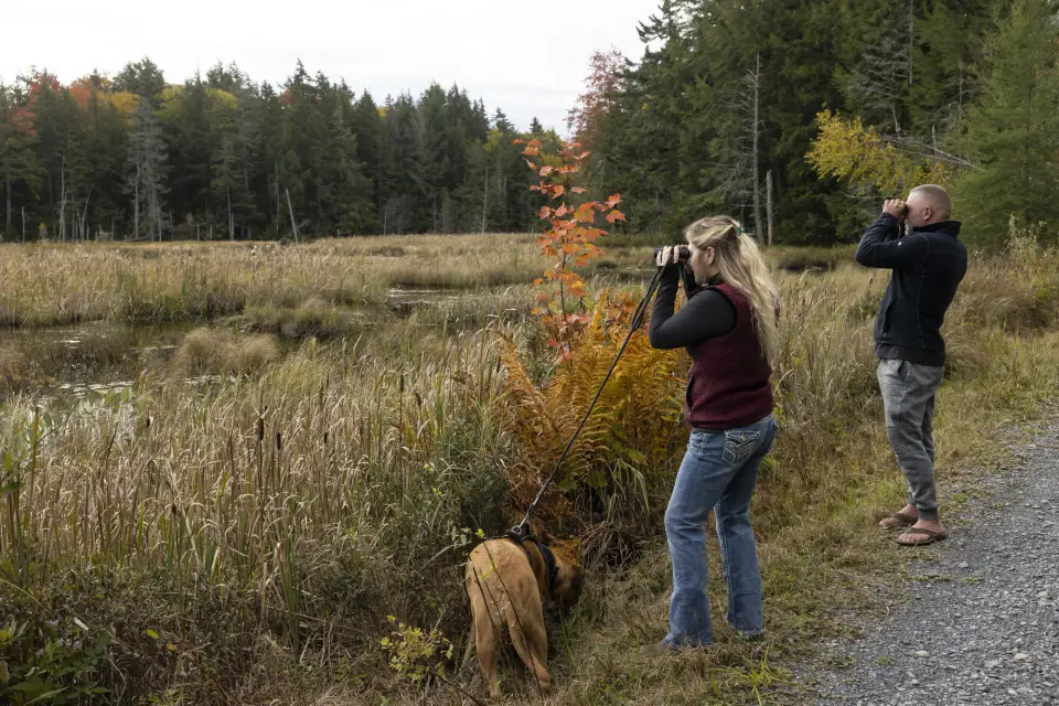 A couple birdwatching with their dog on a scenic trail in Lake Placid
