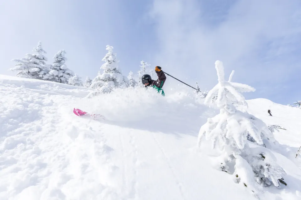 Skier descends a snowy slope past snow-covered trees, kicking up powder