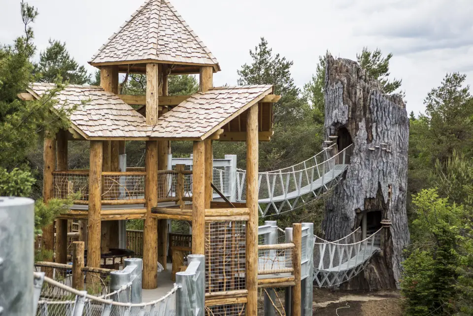Wild Walk at the Wild Center in Tupper Lake, NY