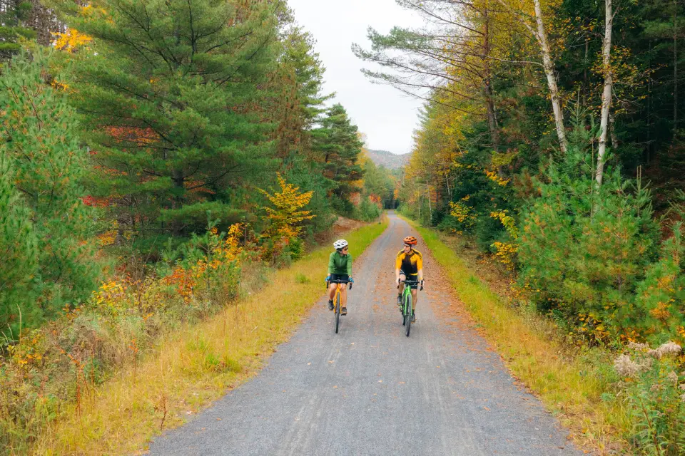 Two cyclists on a road during the fall.