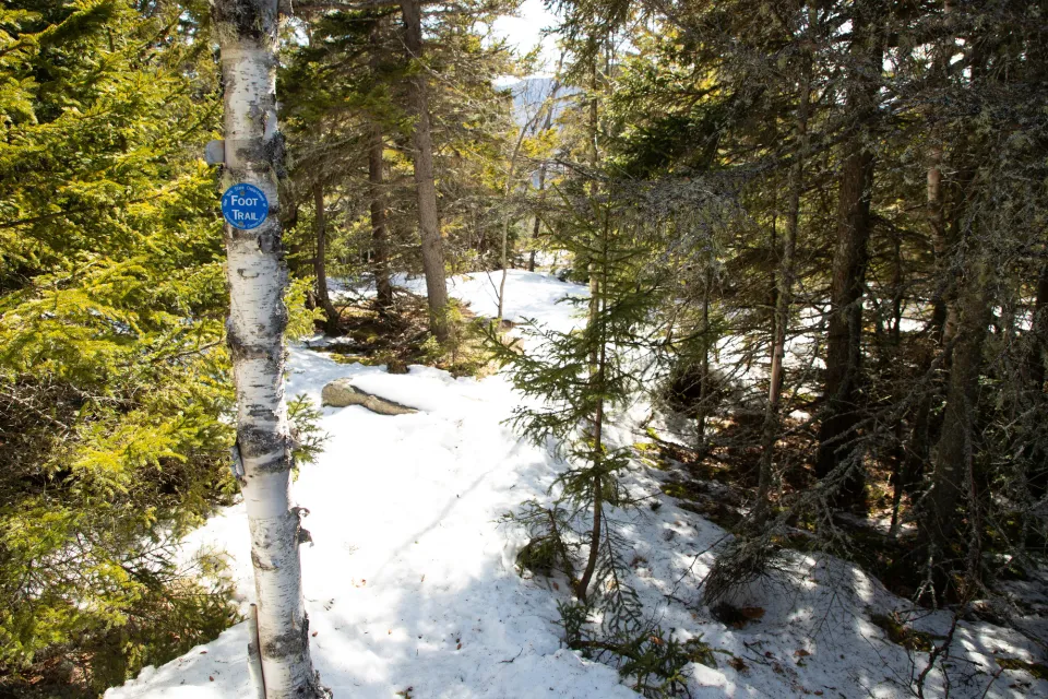 A snowy and green hiking trail during the spring.