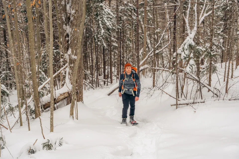 A snowshoer walking in the forest