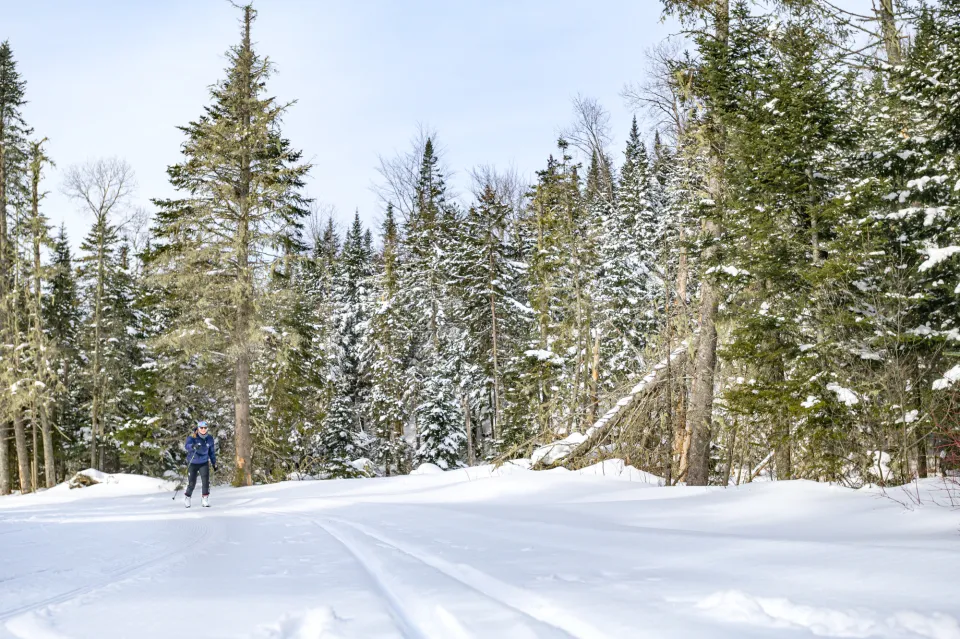 A man cross-country skis in winter on a snowy trail.