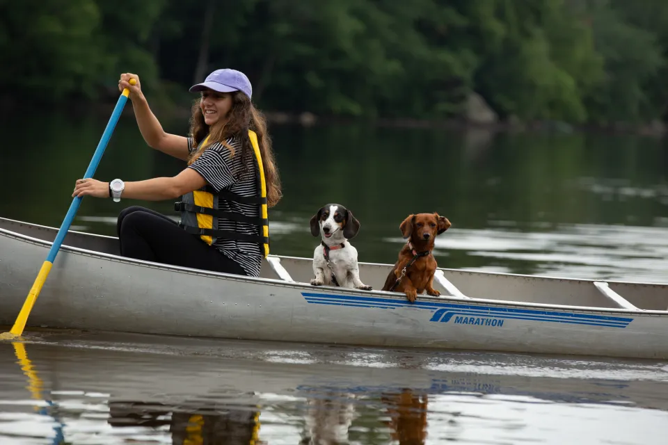 A woman paddling a canoe with two dogs.
