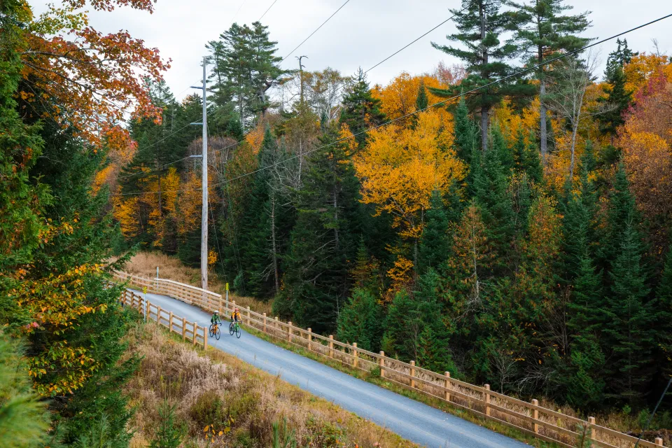 Rail Trail in the fall.