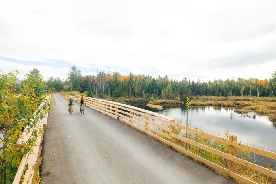 Two people riding bikes on a road during fall.