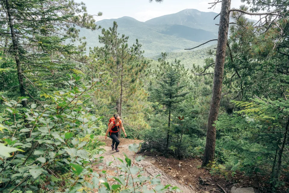 A hiker walking up a summer trail