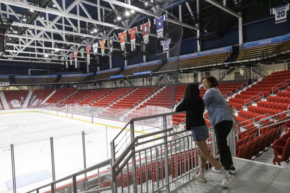 A woman and a teenage girl stand in the stands of a hockey rink. 