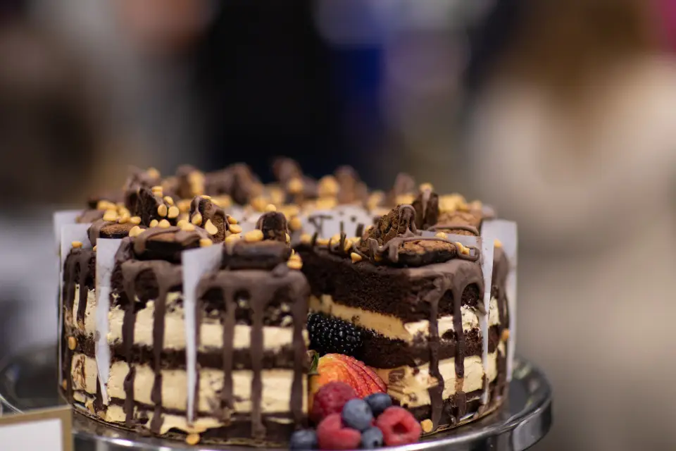 A cake with chocolate layers.